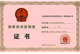   National Technical Invention Award