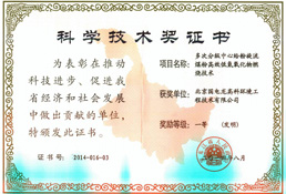 Certificate of science and technology